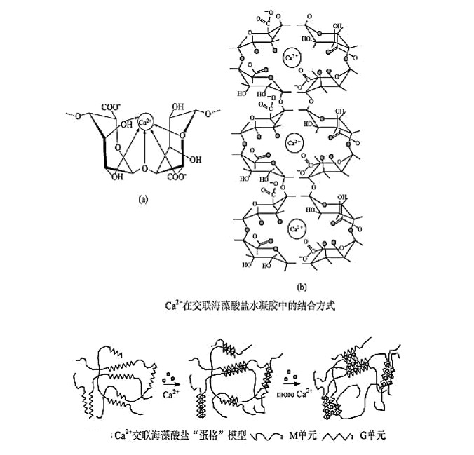 單向滲透性.jpg